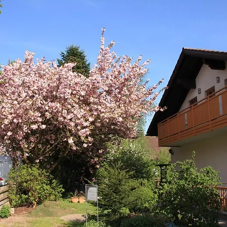 Apartment Penzkofer Zandt